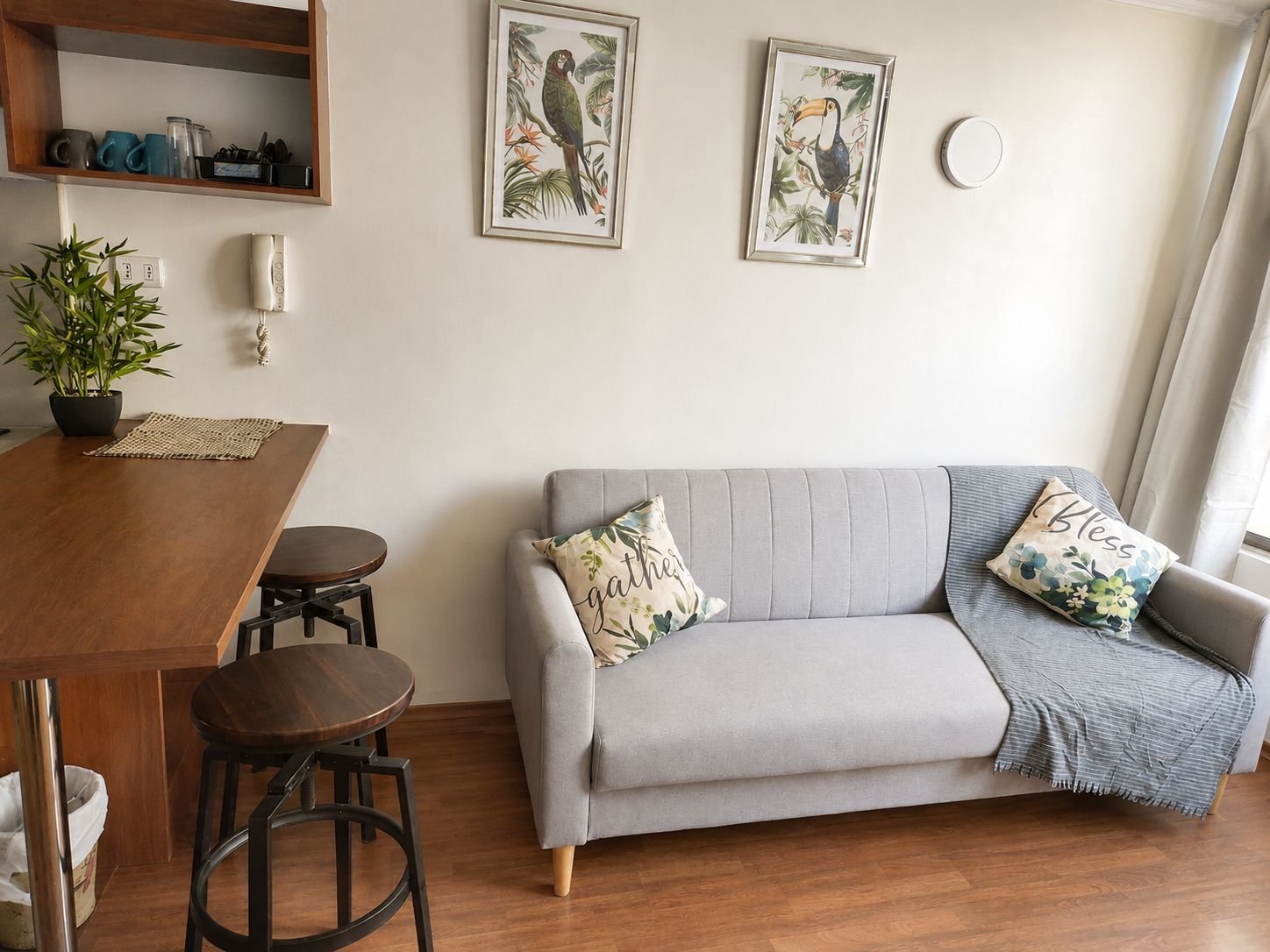 Professional Apartment